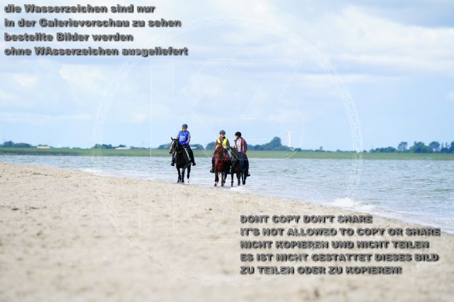s_K3F05075.JPG
